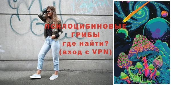 a pvp Алзамай