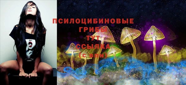 крисы Алексин